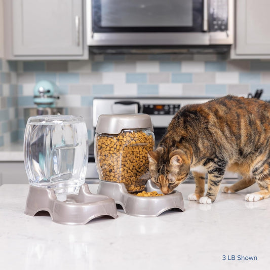 A Guide to Choosing the Best Feeder for Dogs and Cats