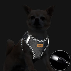 Premium Denim Dog Harness and Leash Set, Step In, Breathable Mesh, Lightweight, Reflective Vest Harness - for Cats and Extra Small Dogs (Black, XXXS)