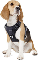 Dog Harness No Pull, Adjustable Pet Vest Harness, Super Soft Material with Vertical Handle Easy Control, Reflective Night Walking, 2 Leash Clips for Medium Sized Dogs, Black, M - Majestic Dog & Cat Pet Boutique