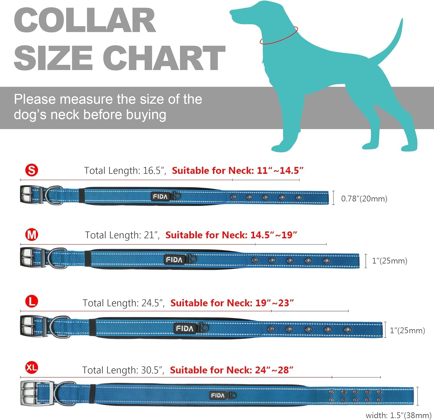 Heavy Duty Dog Collar, Ultra Comfortable Soft Neoprene Padded, Adjustable Reflective Nylon Pet Collar with Durable Metal Belt Buckle for Medium Breeds (M, Blue)