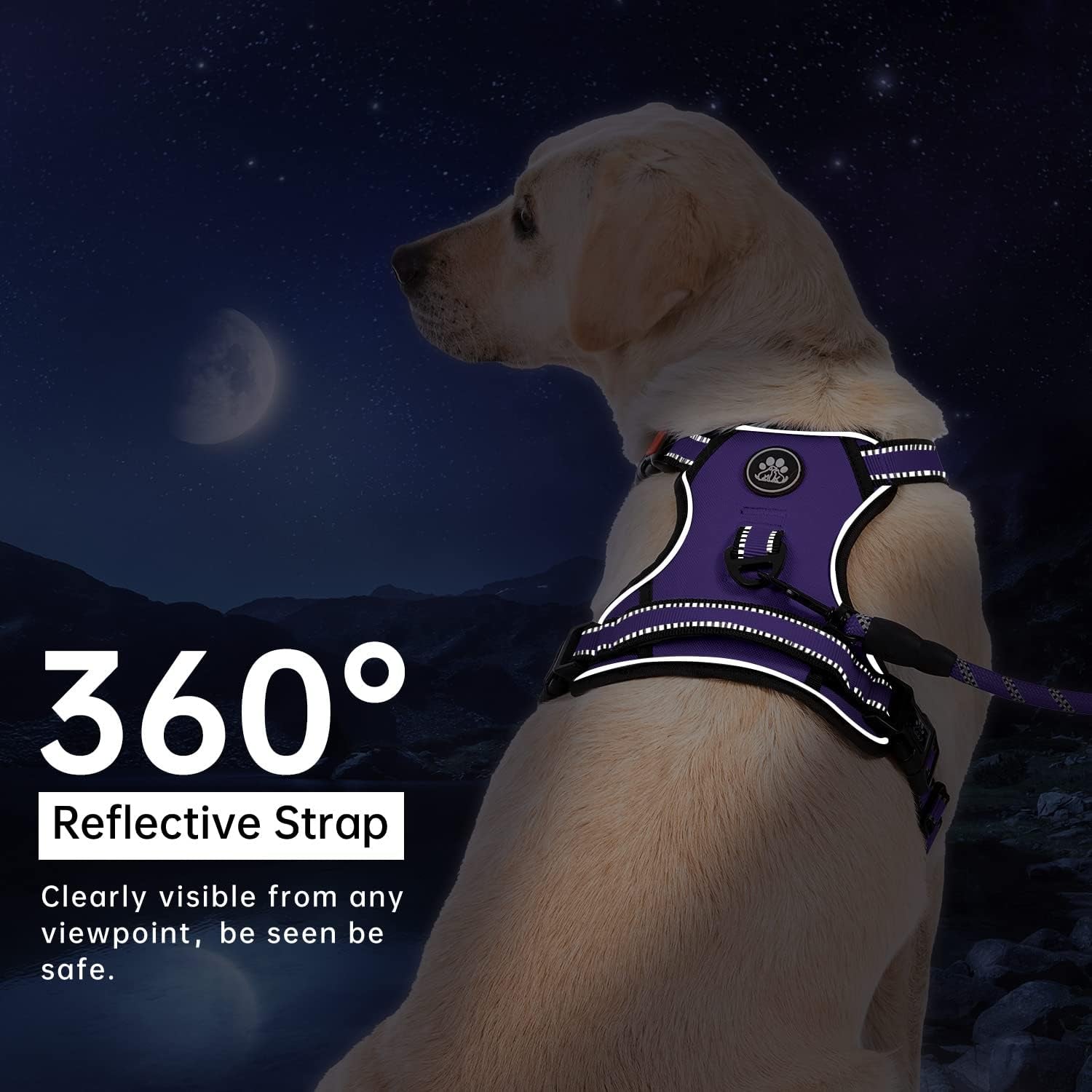 No Pull Dog Harness for Small Dogs, Dog Vest Harness with Leash, Safety Belt and Storage Strap, Fully Adjustable Harness, 360° Reflective Strip, Soft Handle (Purple, S) - Majestic Dog & Cat Pet Boutique