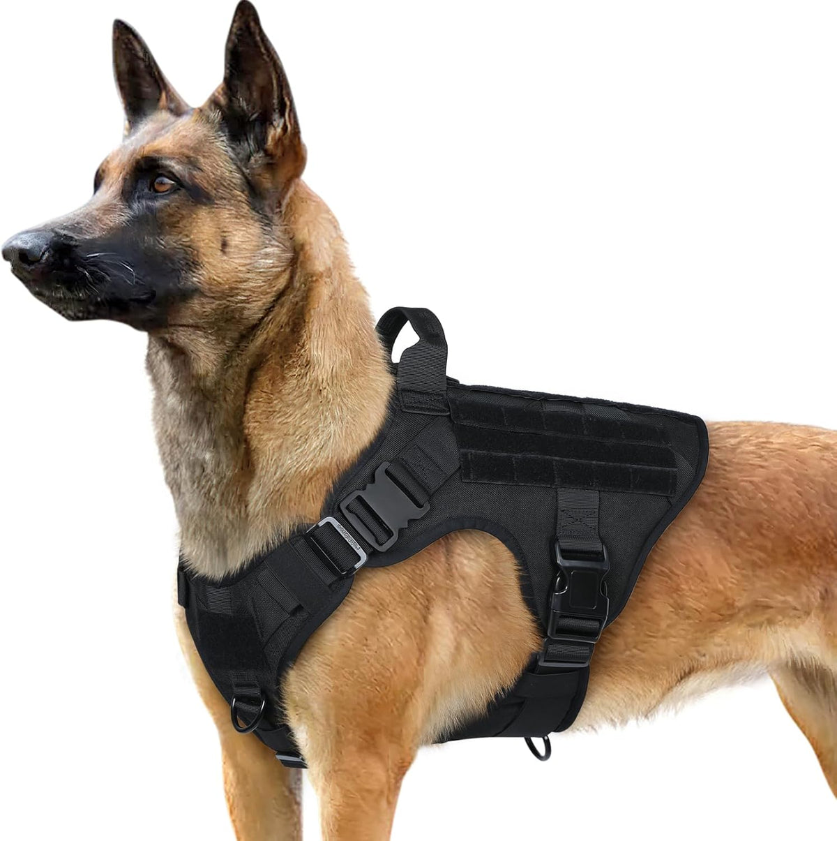 Tactical Dog Harness for Large, Heavy Duty Pet Harness with Handle, No-Pull Service Vest Large Breed, Adjustable Military Dog Vest for Training Hunting Walking, Black, L - Majestic Dog & Cat Pet Boutique