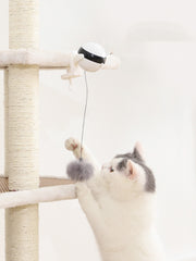 "Electric Lifting Motion Cat Toy – Interactive Smart Teaser Ball"