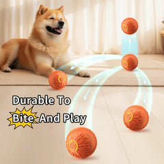 "Electric Jumping Ball – Luminous Dog Toy for Training & Play"