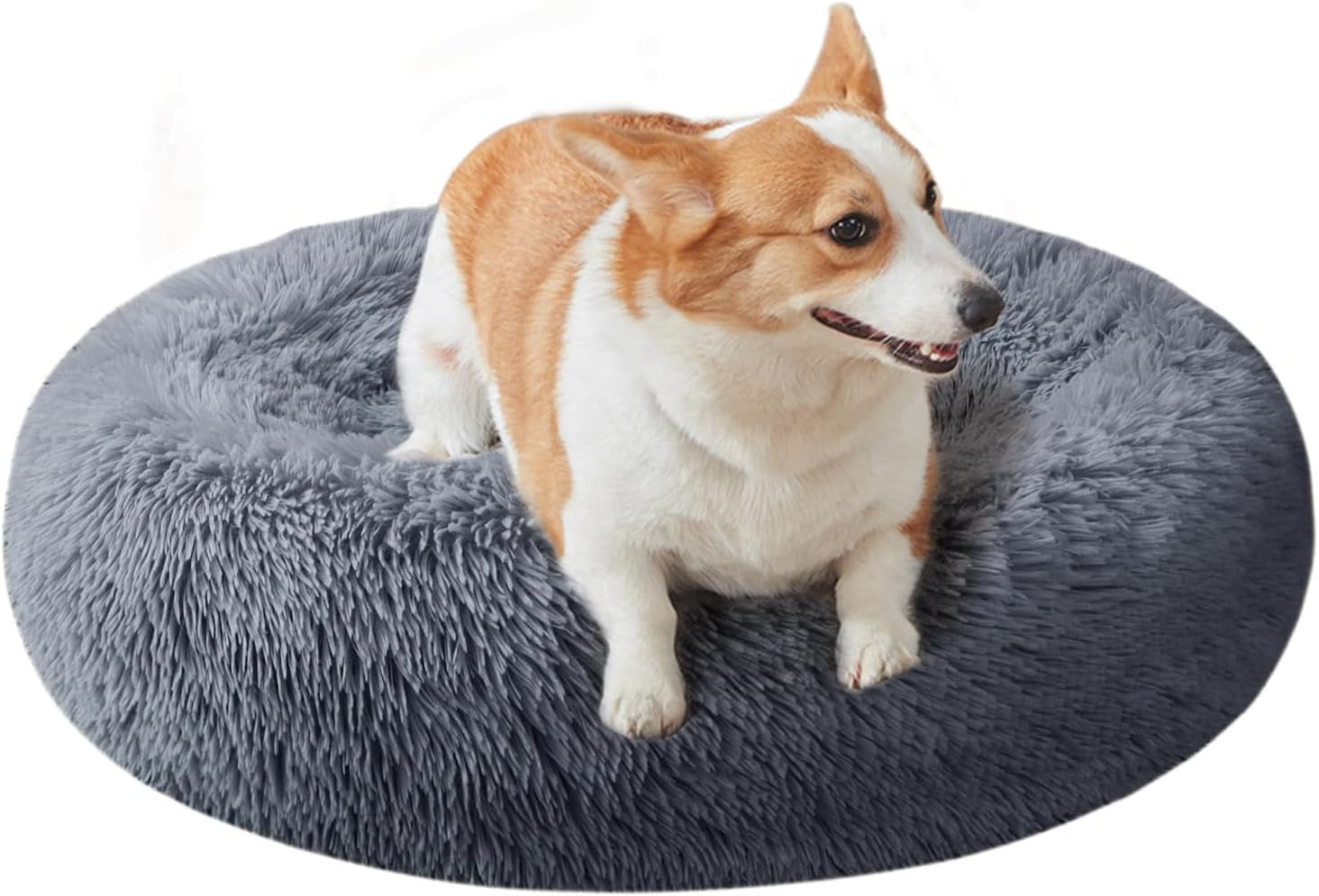 Washable Round Pet Bed – 20” Cat Bed & Small to Medium Dog Bed, Slip-Resistant - Majestic Dog & Cat Pet Boutique