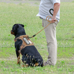 Heavy Duty Tactical Dog Harness for Large Dogs, No Pull Adjustable Pet Harness Reflective Service Training Easy Control Pet Vest Military K9 Working Dog Harnesses- Large, Brown - Majestic Dog & Cat Pet Boutique