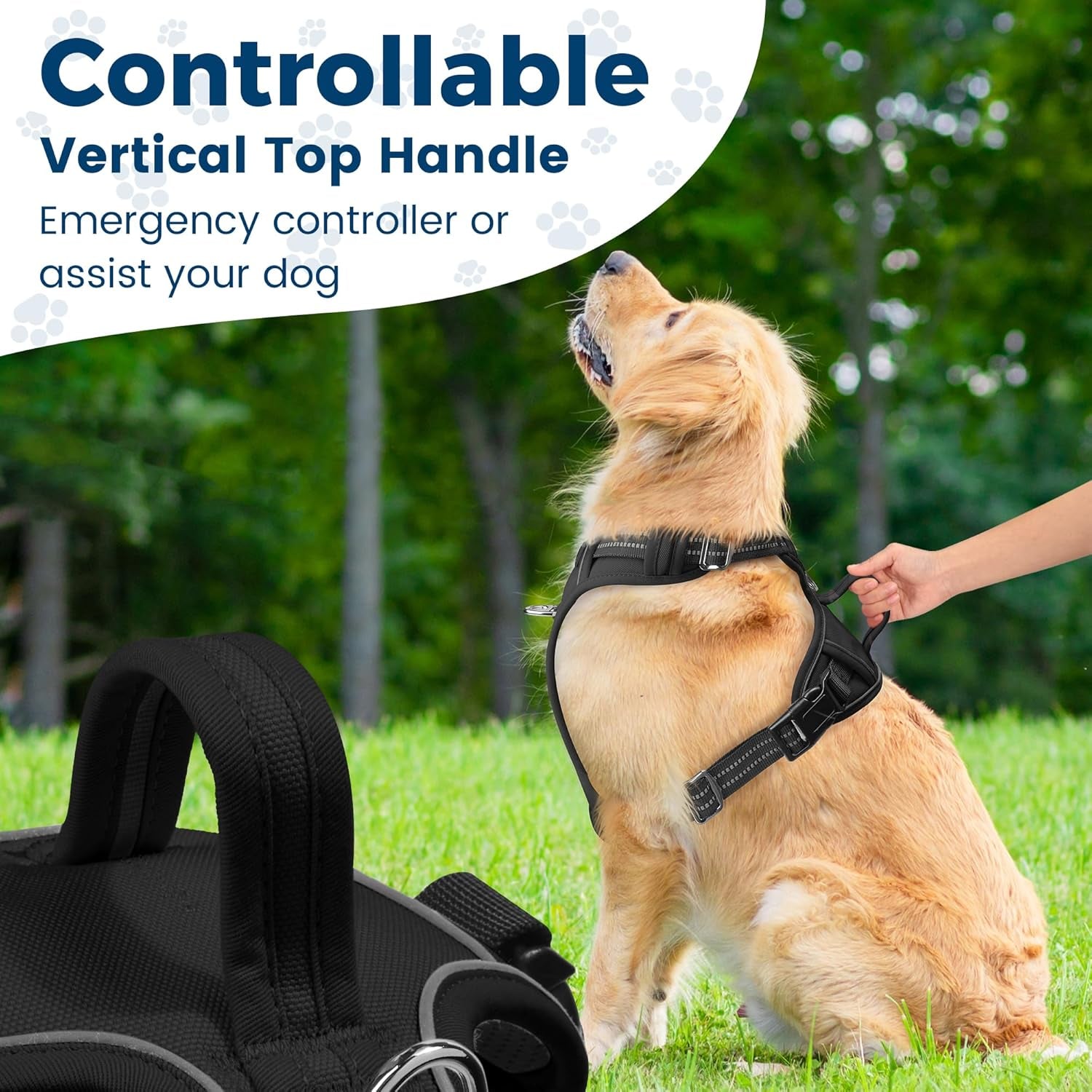 Dog Harness No Pull, Adjustable Pet Vest Harness, Super Soft Material with Vertical Handle Easy Control, Reflective Night Walking, 2 Leash Clips for Medium Sized Dogs, Black, M - Majestic Dog & Cat Pet Boutique