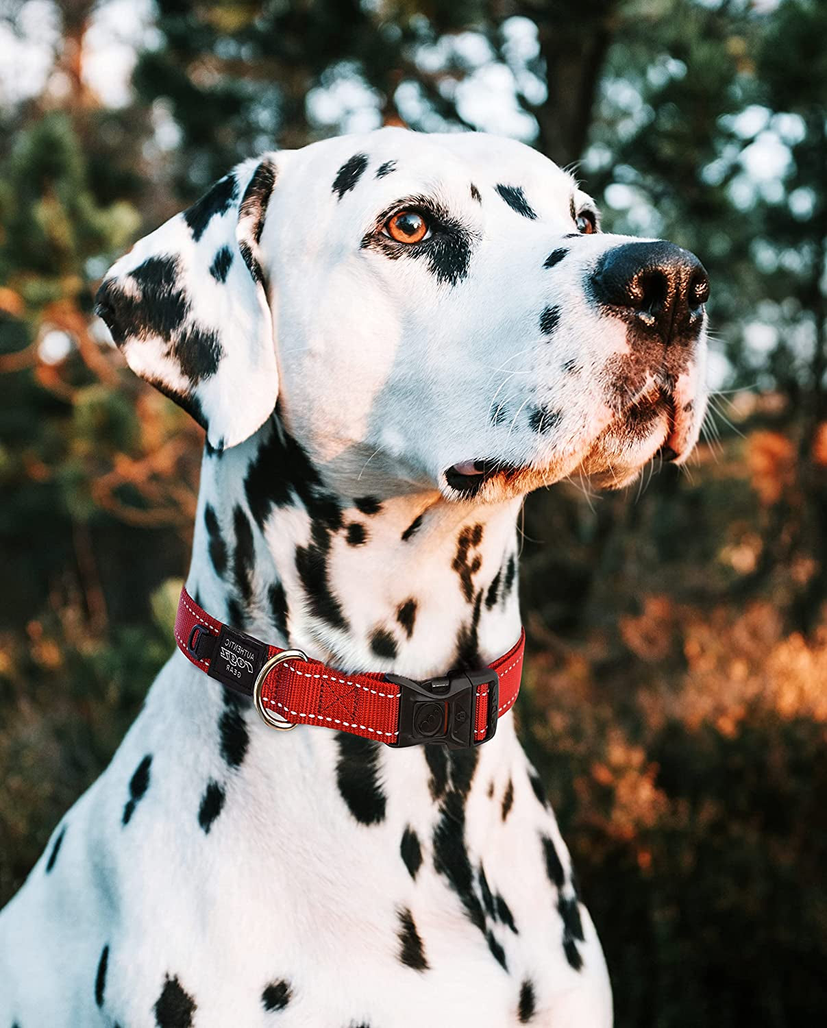 Reflective Dog Collar for Extra Large Dogs, Adjustable from 17-27 Inches, Red