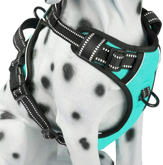 No Pull Dog Harness, Reflective Comfortable Vest Harness with Front & Back 2 Leash Attachments and Easy Control Handle Adjustable Soft Padded Pet Vest for Small Medium Large Dogs (Mint Blue,M) - Majestic Dog & Cat Pet Boutique