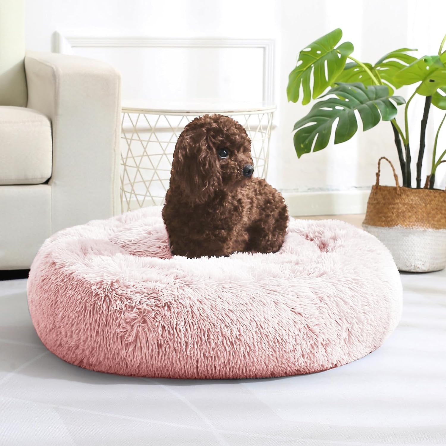 Dog & Cat Bed, Calming Anti-Anxiety Pet Bed for Small Dogs, Fluffy Donut Cushion for Small and Medium Pets (20")