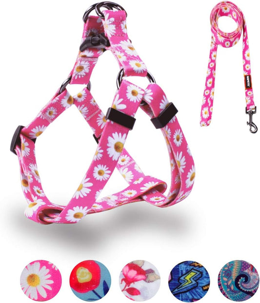 Dog Harness Leash Set Adjustable Heavy Duty No Pull Halter Harnesses for Small Medium Large Breed Dogs Back Clip Anti-Twist Perfect for Walking (XS(12"-18" Chest Girth), Daisy)