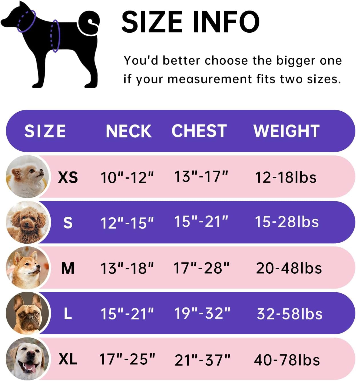 No Pull Dog Harness for Small Dogs, Dog Vest Harness with Leash, Safety Belt and Storage Strap, Fully Adjustable Harness, 360° Reflective Strip, Soft Handle (Purple, S) - Majestic Dog & Cat Pet Boutique