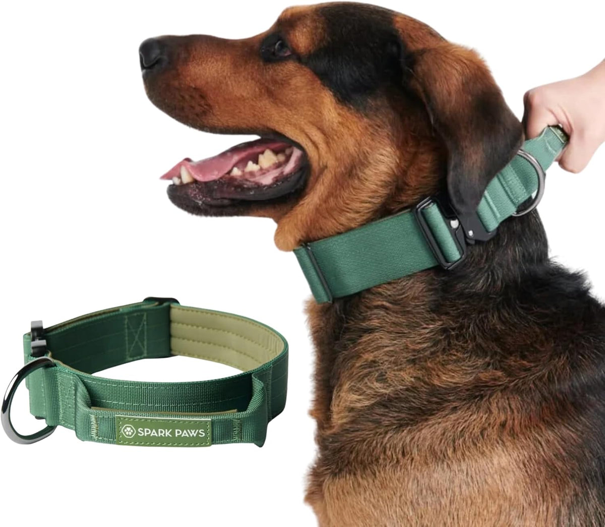 Tactical Dog Collar - Heavy Duty, Premium Quality, Thick and Durable for Large and Medium Dogs - Solid Green - S - Majestic Dog & Cat Pet Boutique