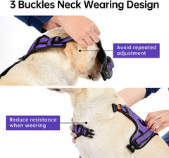 No Pull Dog Harness for Small Dogs, Dog Vest Harness with Leash, Safety Belt and Storage Strap, Fully Adjustable Harness, 360° Reflective Strip, Soft Handle (Purple, S) - Majestic Dog & Cat Pet Boutique