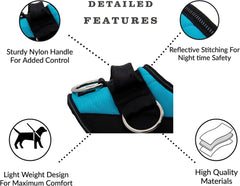 Essential Dog Harness, No-Pull Pet Vest with 3 Leash Clips, No Choke, Reflective, Adjustable and Padded, for Easy Walking and Training for Small, Medium and Large Dogs (Oceanic Blue, S) - Majestic Dog & Cat Pet Boutique