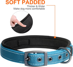 Heavy Duty Dog Collar, Ultra Comfortable Soft Neoprene Padded, Adjustable Reflective Nylon Pet Collar with Durable Metal Belt Buckle for Medium Breeds (M, Blue)