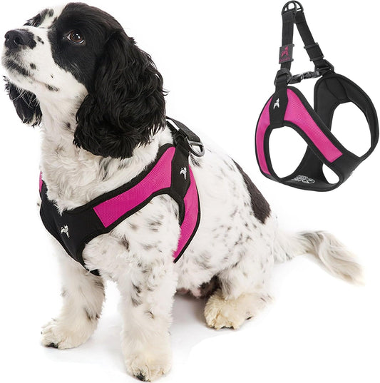 Escape Free Easy Fit Harness - Hot Pink, Medium - No Pull Step-In Patented Small Dog Harness with Quick Release Buckle - Perfect on the Go No Pull Harness for Small Dogs or Medium Dog Harness - Majestic Dog & Cat Pet Boutique