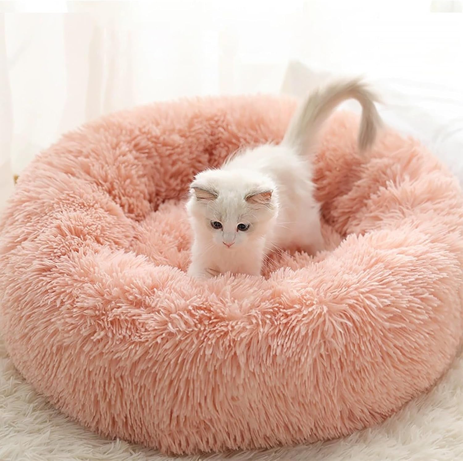 Washable Round Pet Bed – 20” Cat Bed & Small to Medium Dog Bed, Slip-Resistant - Majestic Dog & Cat Pet Boutique