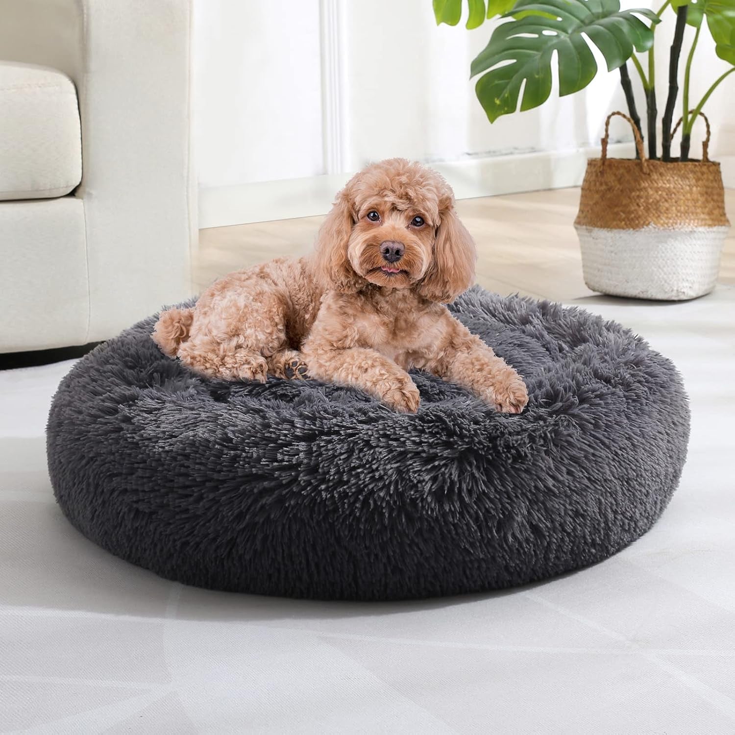 Dog & Cat Bed, Calming Anti-Anxiety Pet Bed for Small Dogs, Fluffy Donut Cushion for Small and Medium Pets (20")