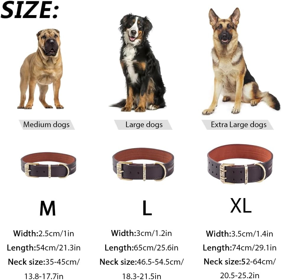 Reflective Genuine Leather Dog Collar Adjustable Soft Padded for Small, Medium Large and Extra Large Breed Dog Collars (Brown Xl(Neck 51.5Cm-63.5Cm))