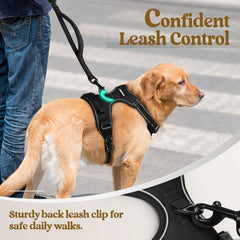 Dog Harness No Pull with 2 Leash Clips, Adjustable Soft Padded, Reflective Oxford No Choke Pet Vest with Easy Control Handle for Large Dogs, Black, XL - Majestic Dog & Cat Pet Boutique