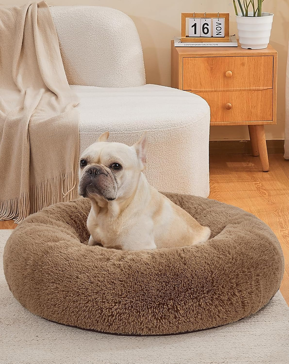 Calming Donut Dog Bed – Plush Pillow for Small & Medium Pets, Washable Cover, Anti-Slip Bottom (23”) - Majestic Dog & Cat Pet Boutique