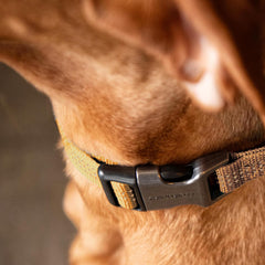 Fully Adjustable Nylon Webbing Collars for Dogs, Reflective Stitching for Visibility,  Brown (Nylon Webbing), Medium