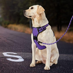 No Pull Dog Harness for Small Dogs, Dog Vest Harness with Leash, Safety Belt and Storage Strap, Fully Adjustable Harness, 360° Reflective Strip, Soft Handle (Purple, S) - Majestic Dog & Cat Pet Boutique