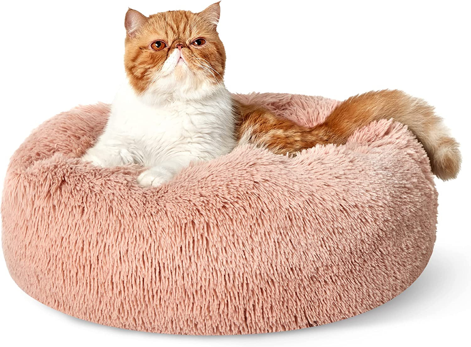 Calming Dog Bed for Small Dogs - Donut Washable Small Pet Bed, 23 Inches Anti-Slip round Fluffy Plush Faux Fur Large Cat Bed, Fits up to 25 Lbs Pets, Camel